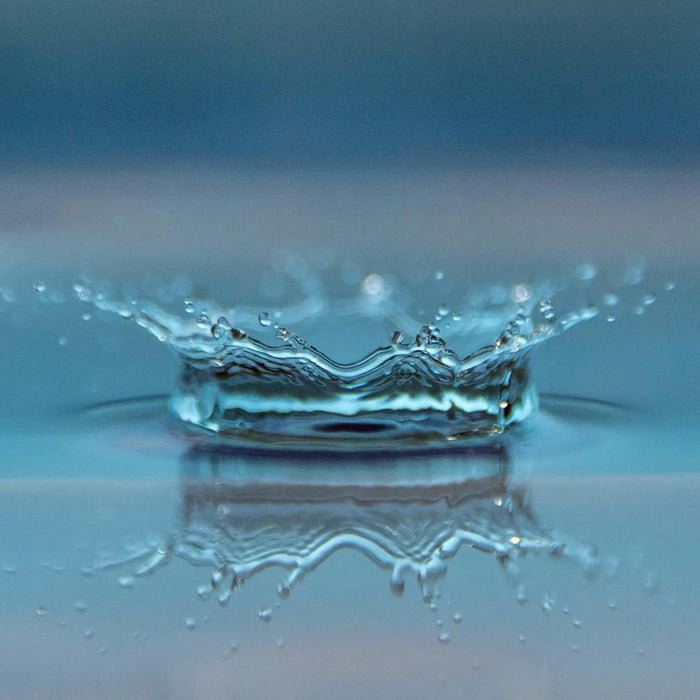 Ein Wassertropfen in der Nahaufnahme